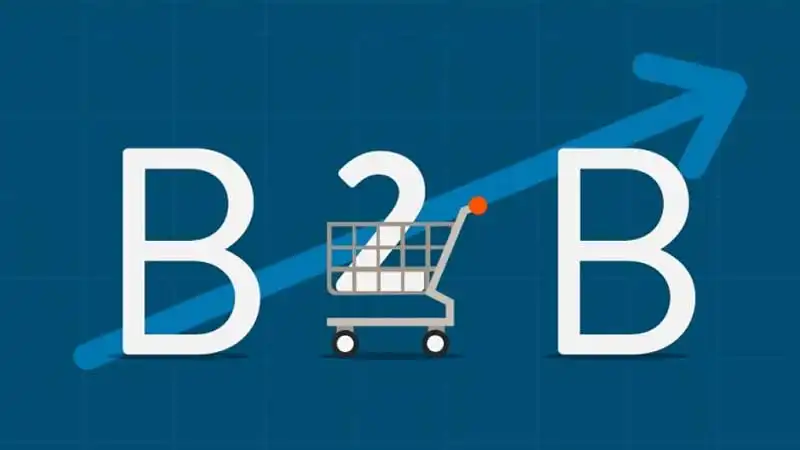 Business Goes Digital: The B2B E-Commerce Revolution