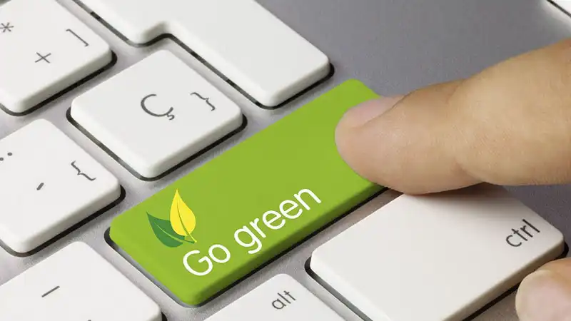 Going Green in the Digital Aisles: The Rise of Sustainable Online Shopping